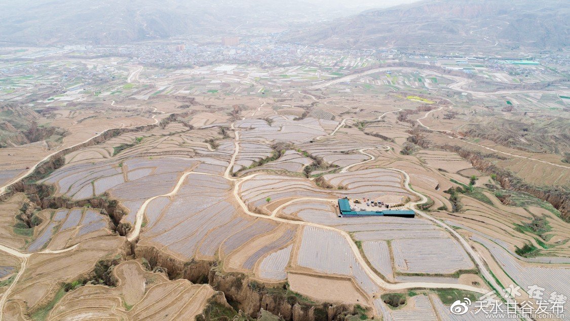 刚刚地推推广场景化定制您的网络平台:深夜推广不用等,数据透明更放心,美国回应普京宣布临时停火